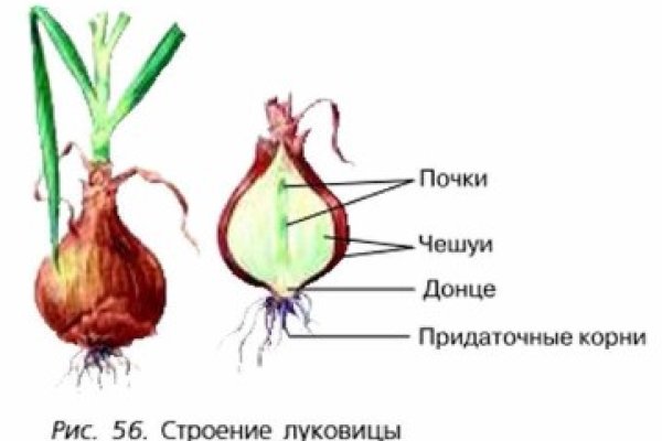 Русские онион сайты